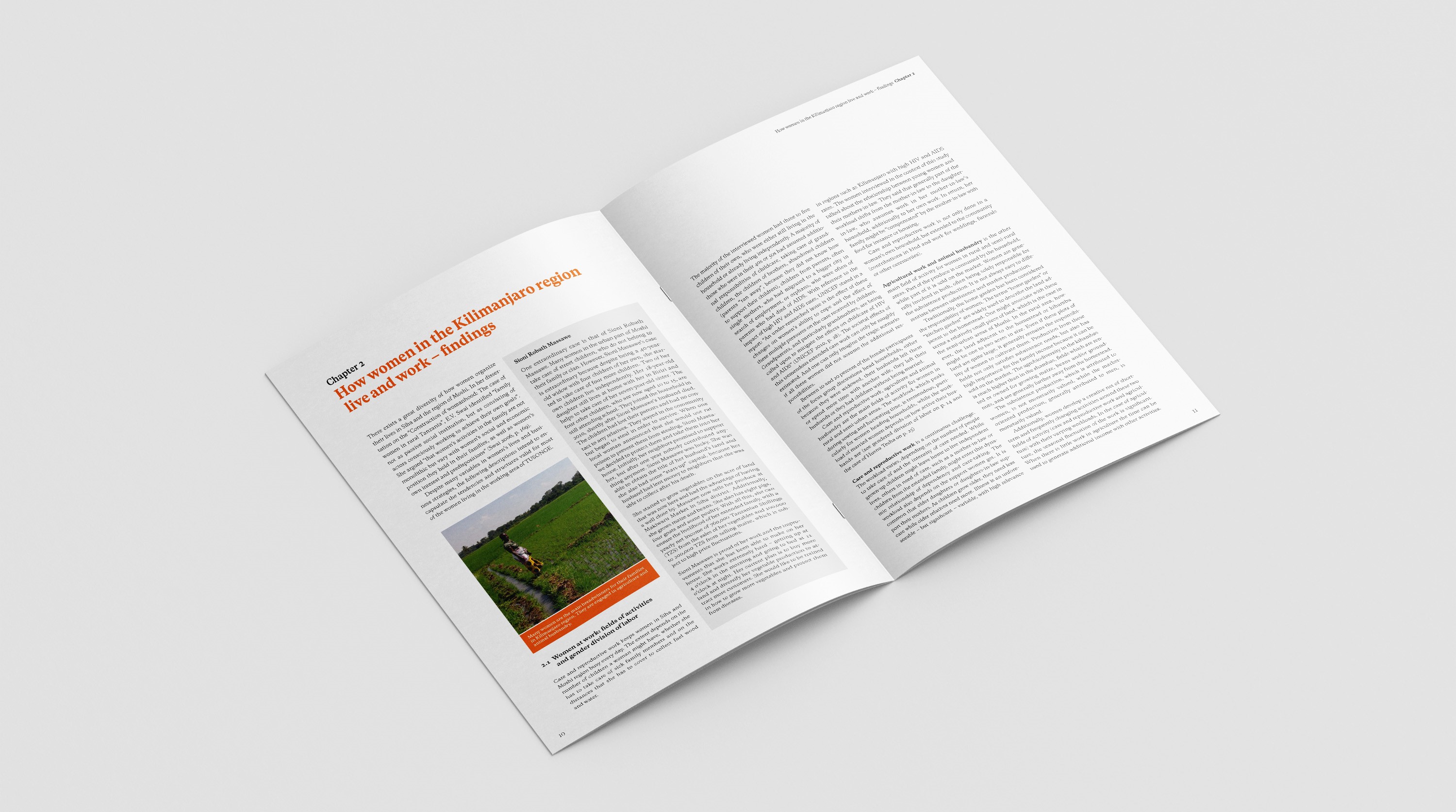 Dialog 19: Women at Work ‒ Livelihood Strategies of Women in the Kilimanjaro Region of Tanzania