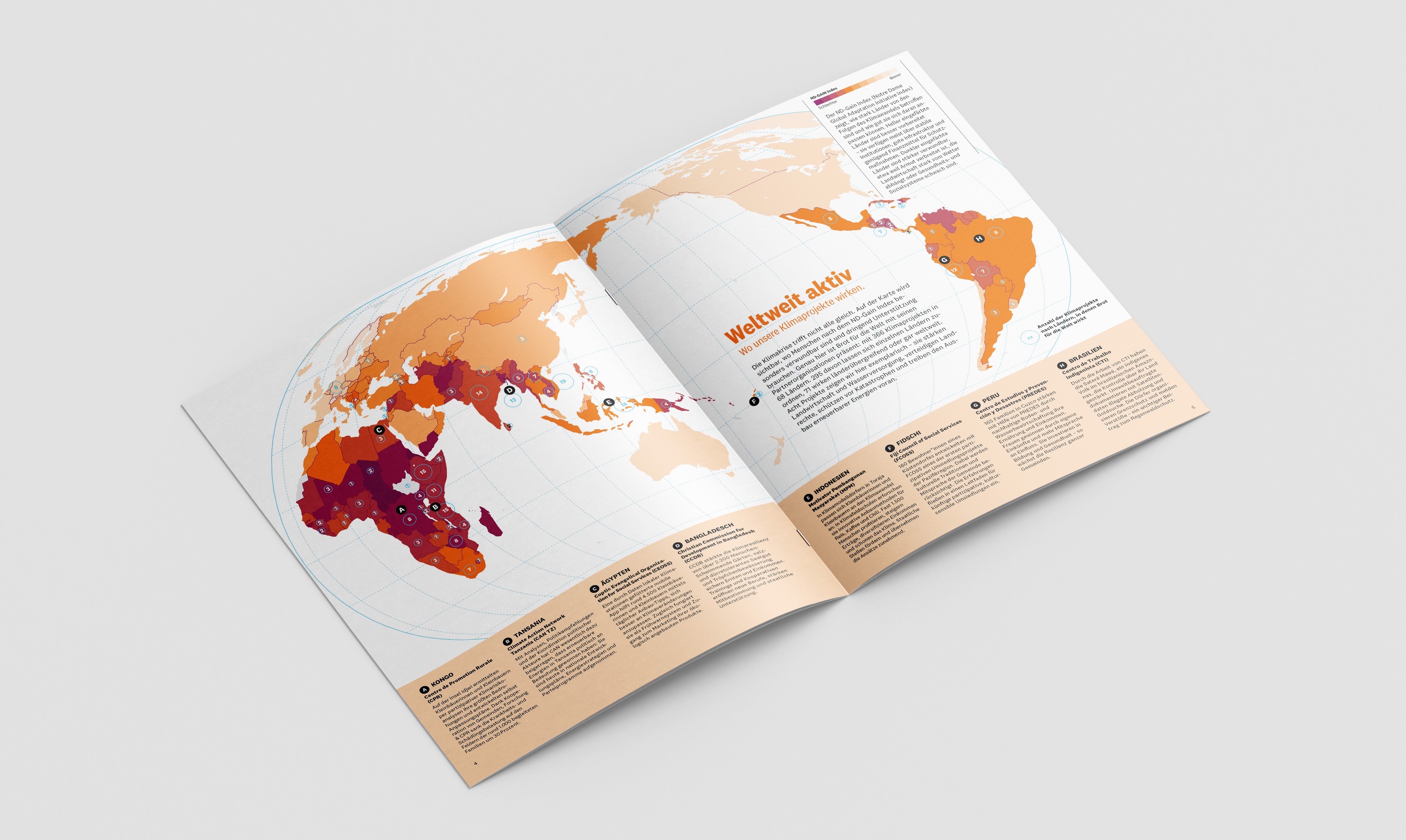 Gemeinsam Wandel gestalten - Wirkungsbericht Klima 