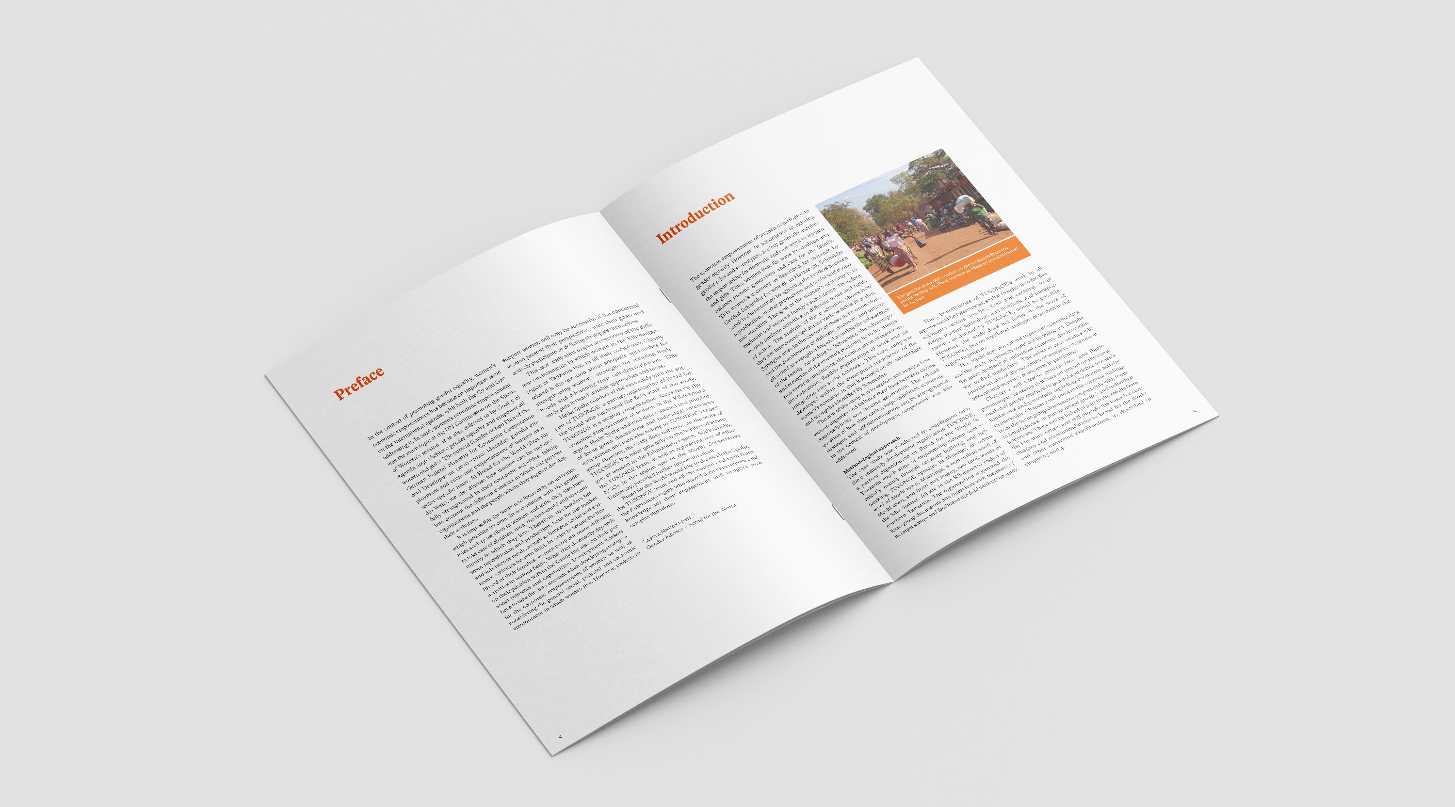 Dialog 19: Women at Work ‒ Livelihood Strategies of Women in the Kilimanjaro Region of Tanzania