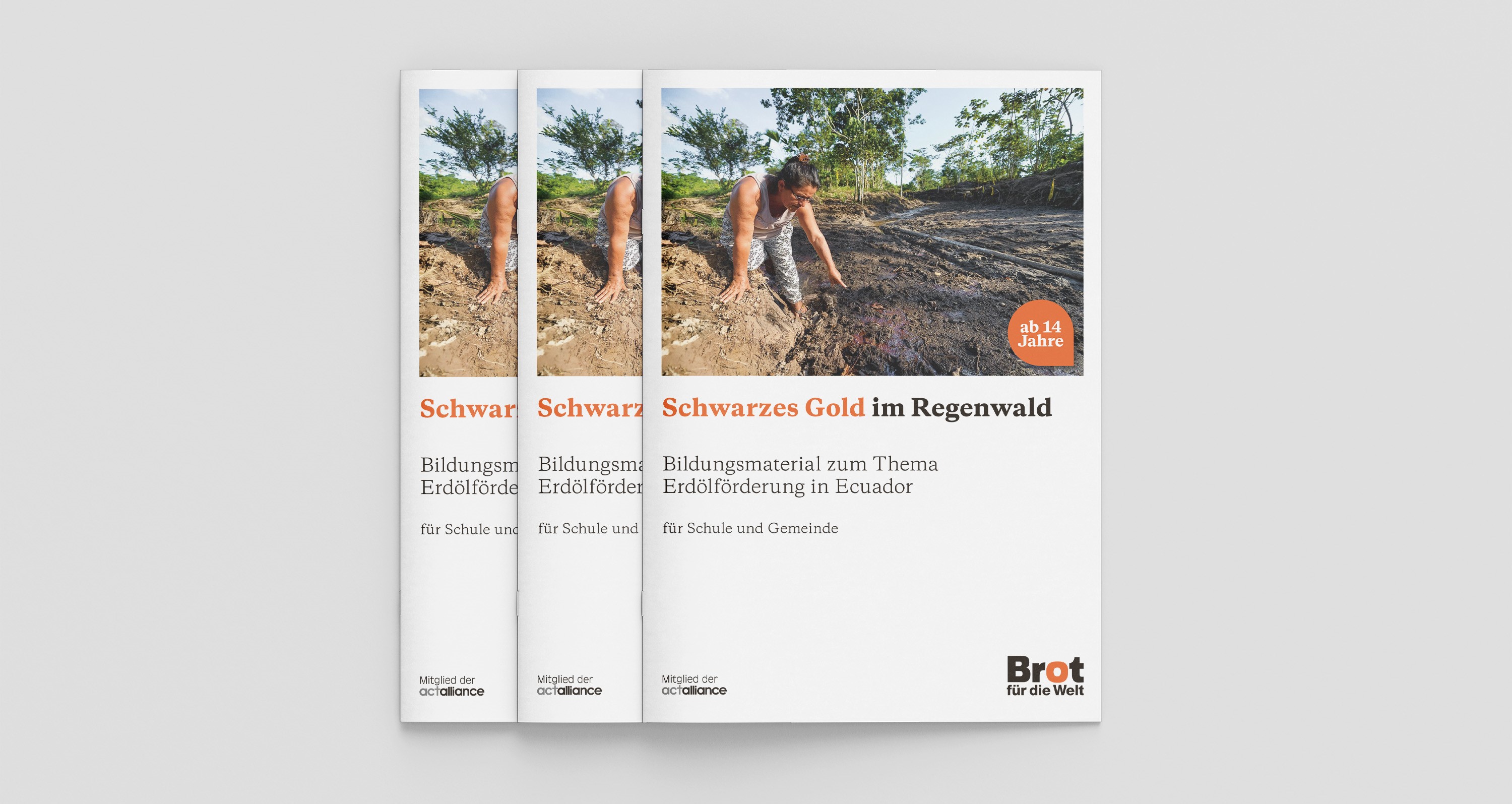 Bildungsmaterial: Ecuador – Schwarzes Gold im Regenwald