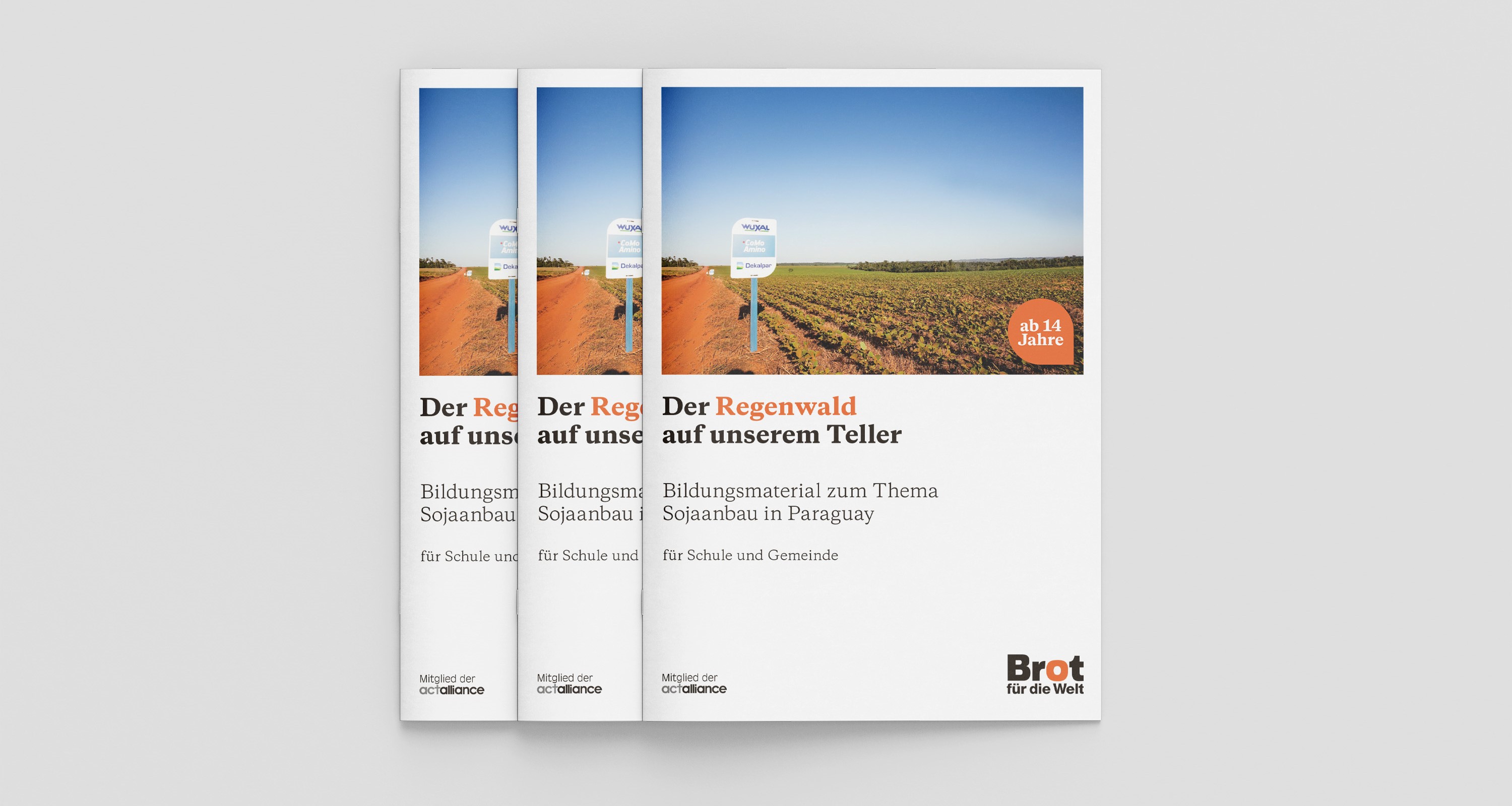 Bildungsmaterial: Paraguay – Der Regenwald auf unserem Teller