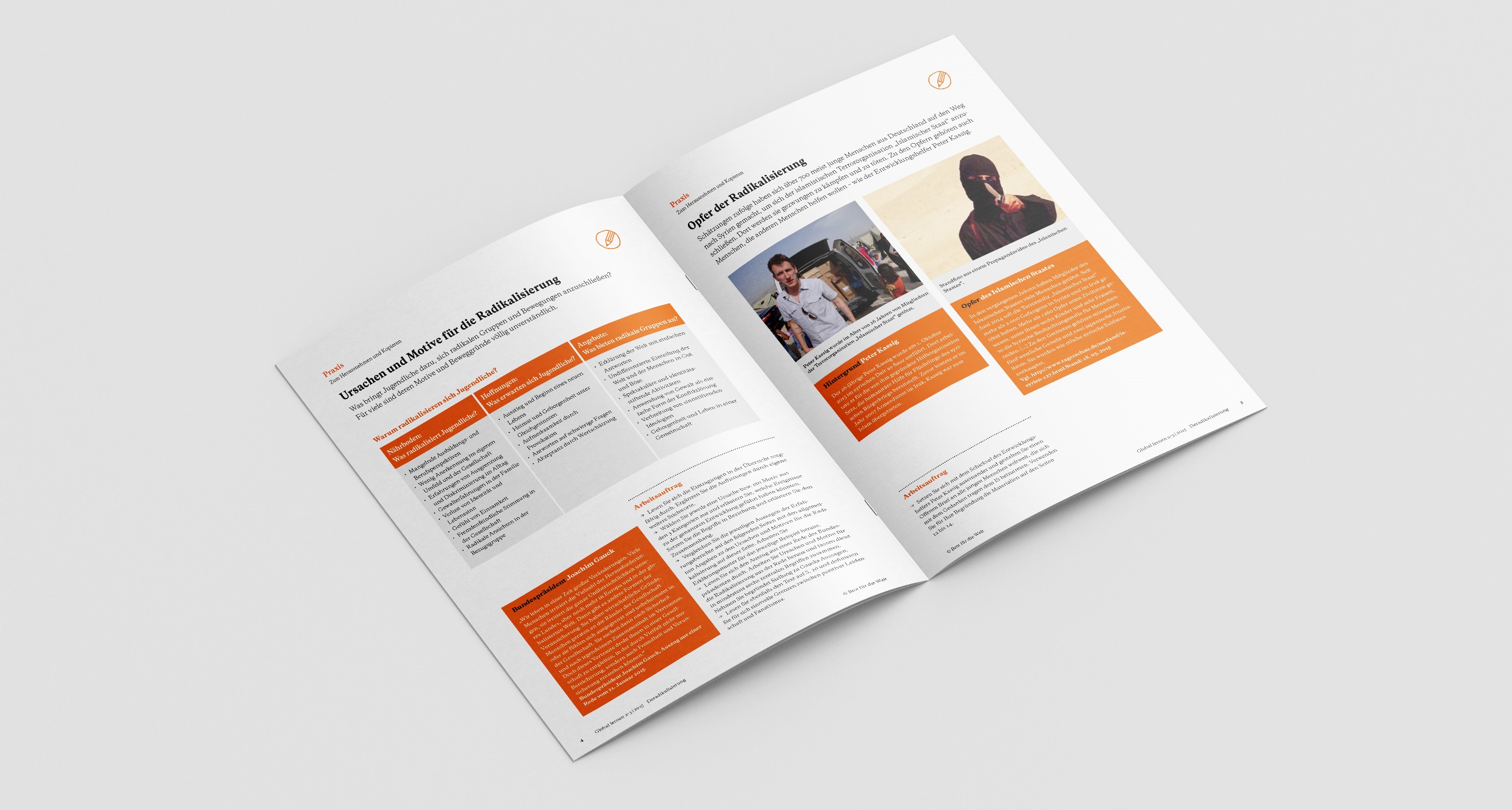 Global lernen: Deradikalisierung