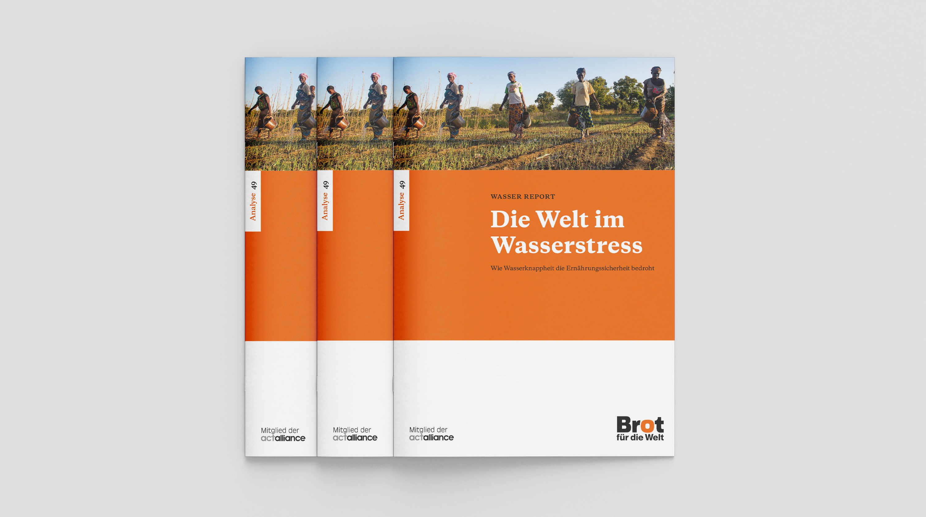 Analyse 49: Die Welt im Wasserstress