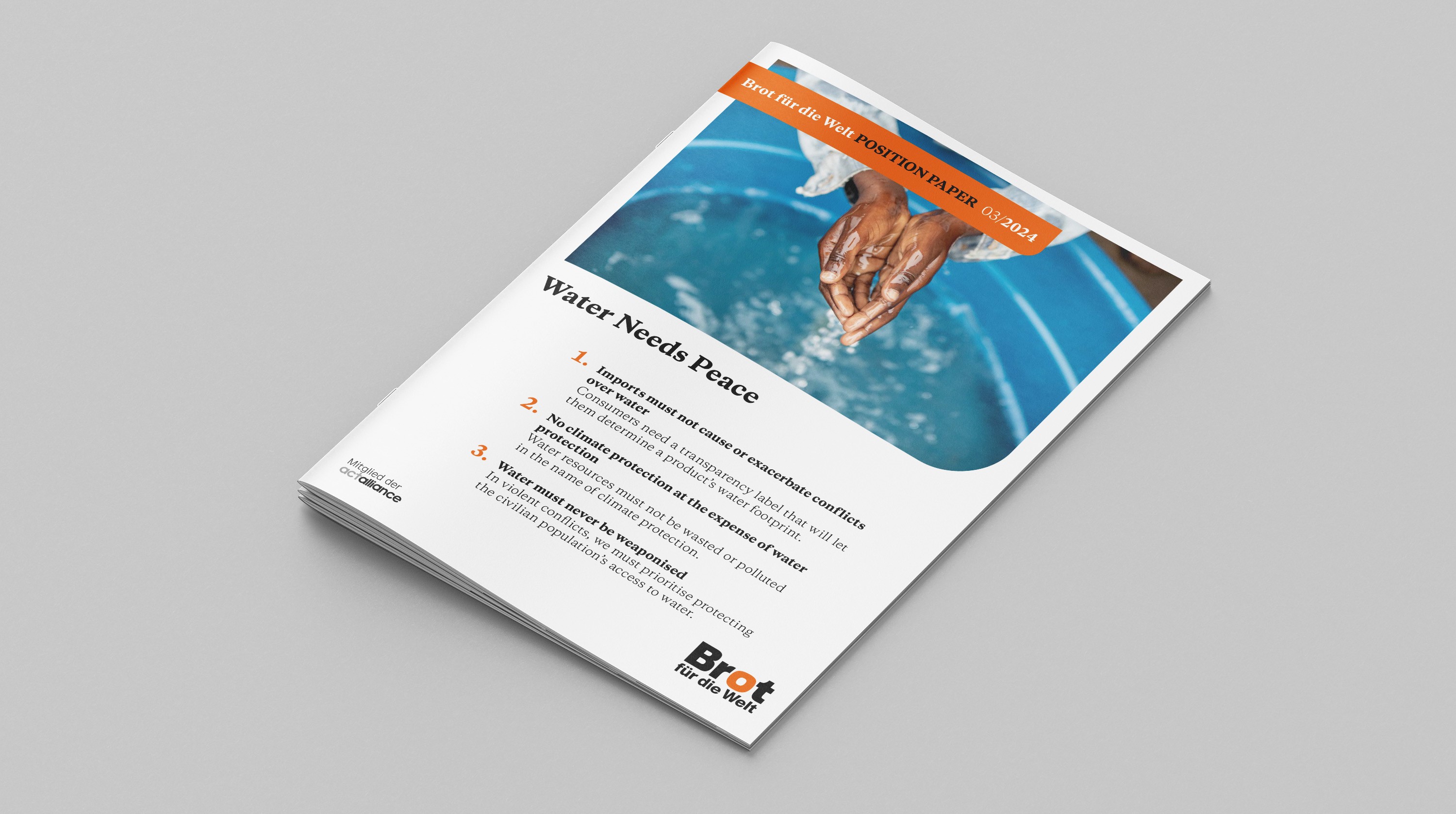 Standpunkt Wasser braucht Frieden