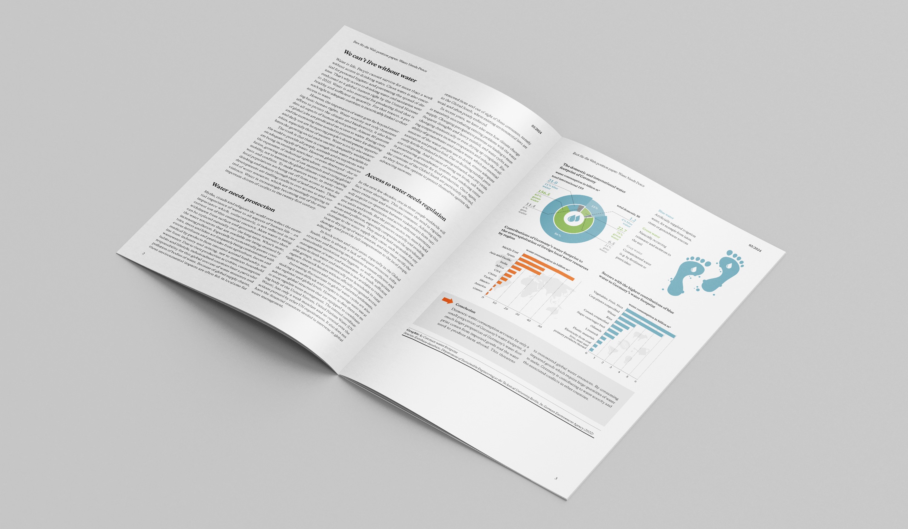 Standpunkt Wasser braucht Frieden