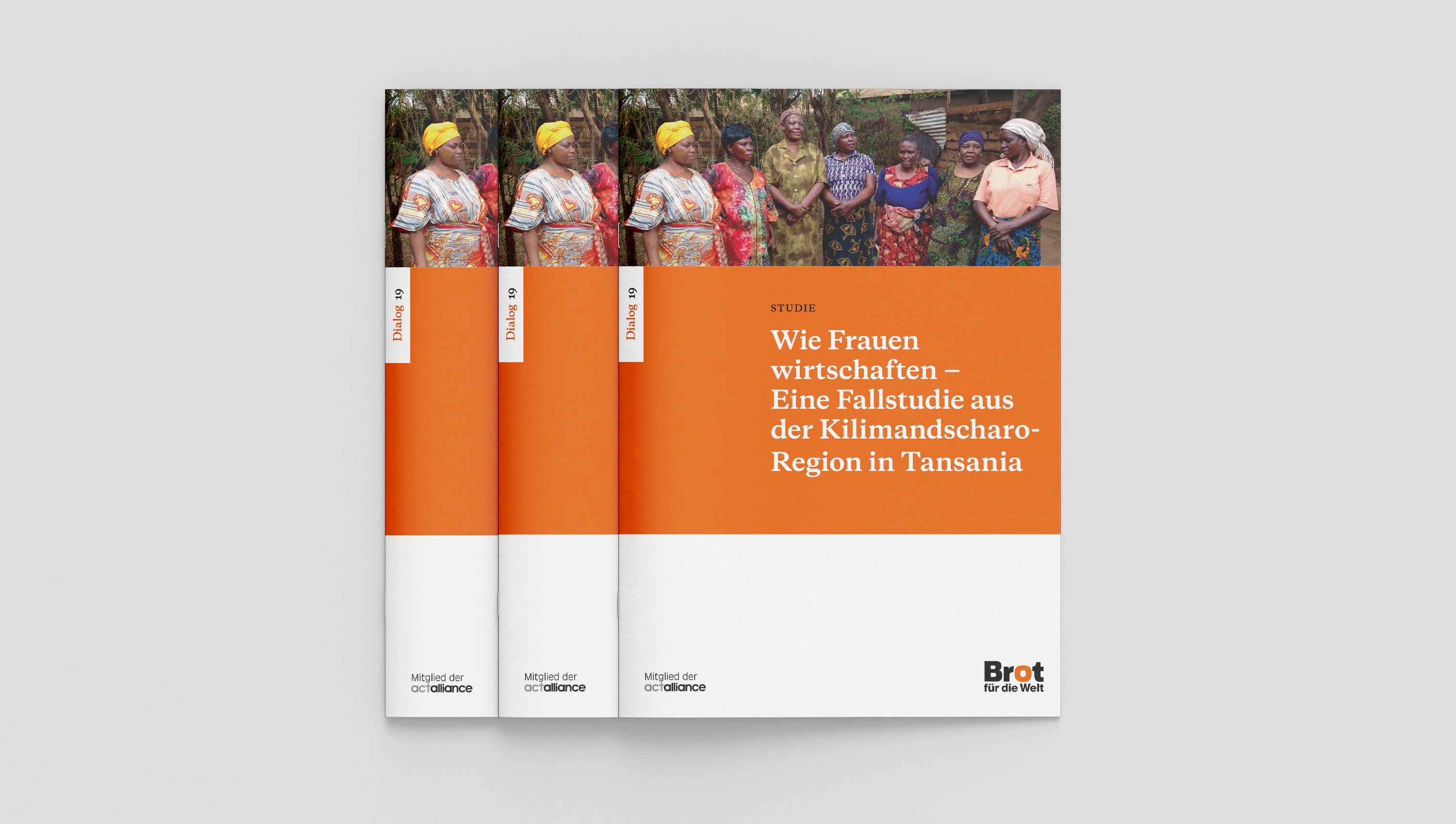 Dialog 19: Wie Frauen wirtschaften - Eine Fallstudie aus der Kilimandscharo-Region