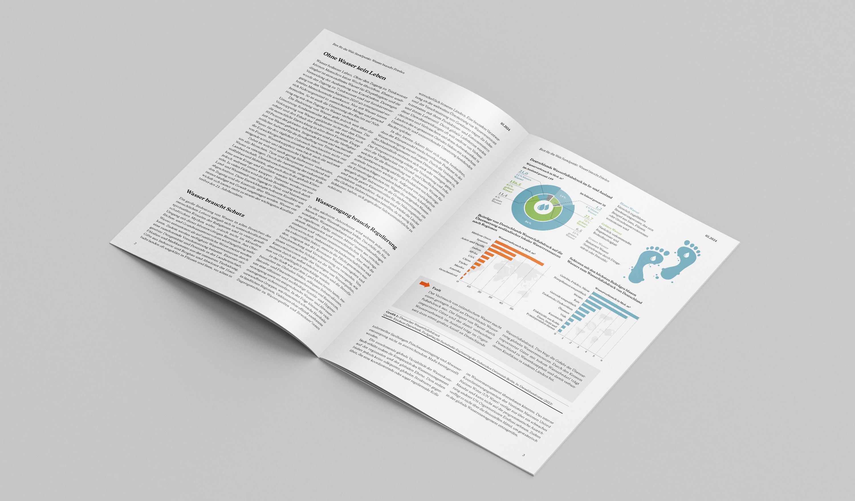 Standpunkt Wasser braucht Frieden