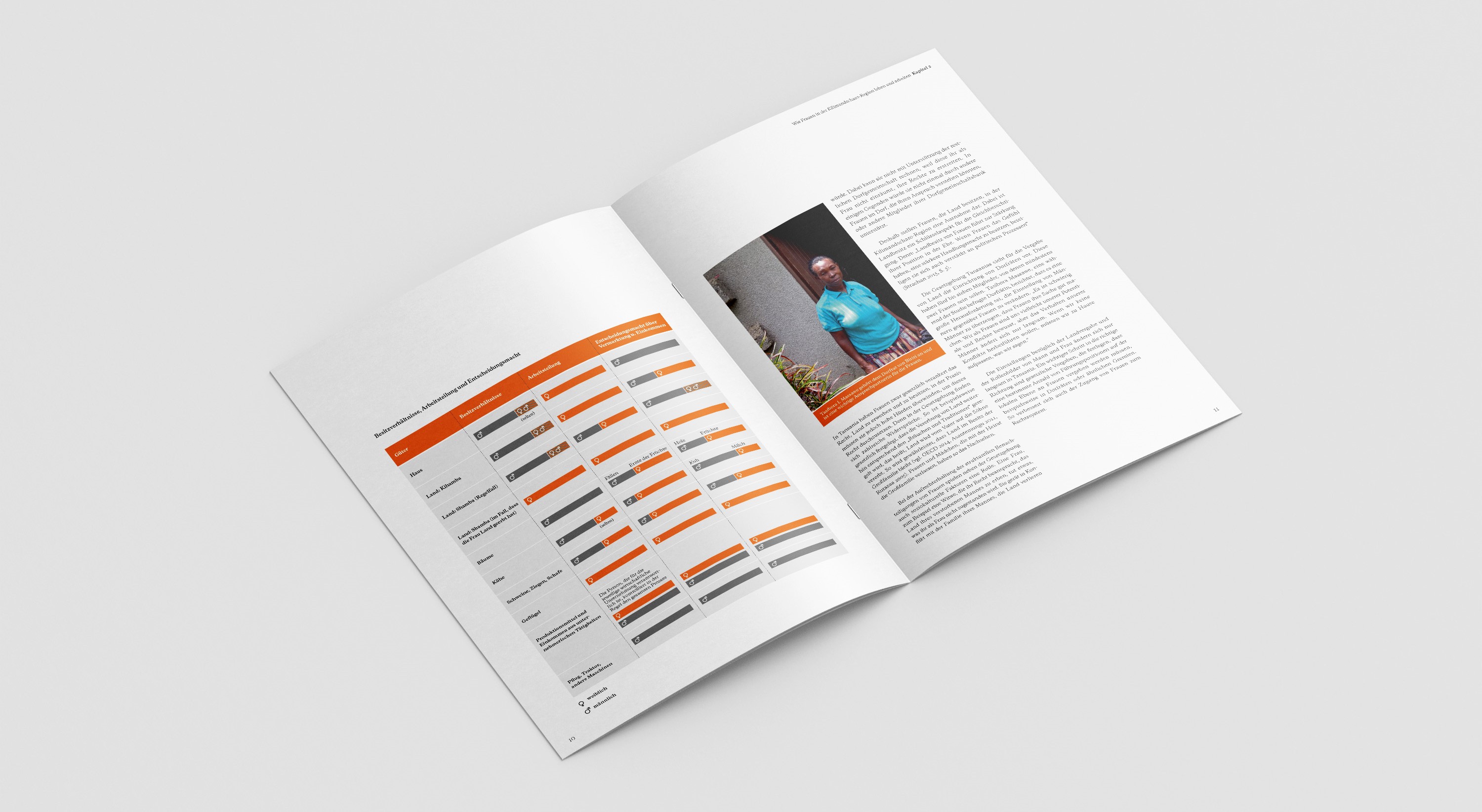 Dialog 19: Wie Frauen wirtschaften - Eine Fallstudie aus der Kilimandscharo-Region