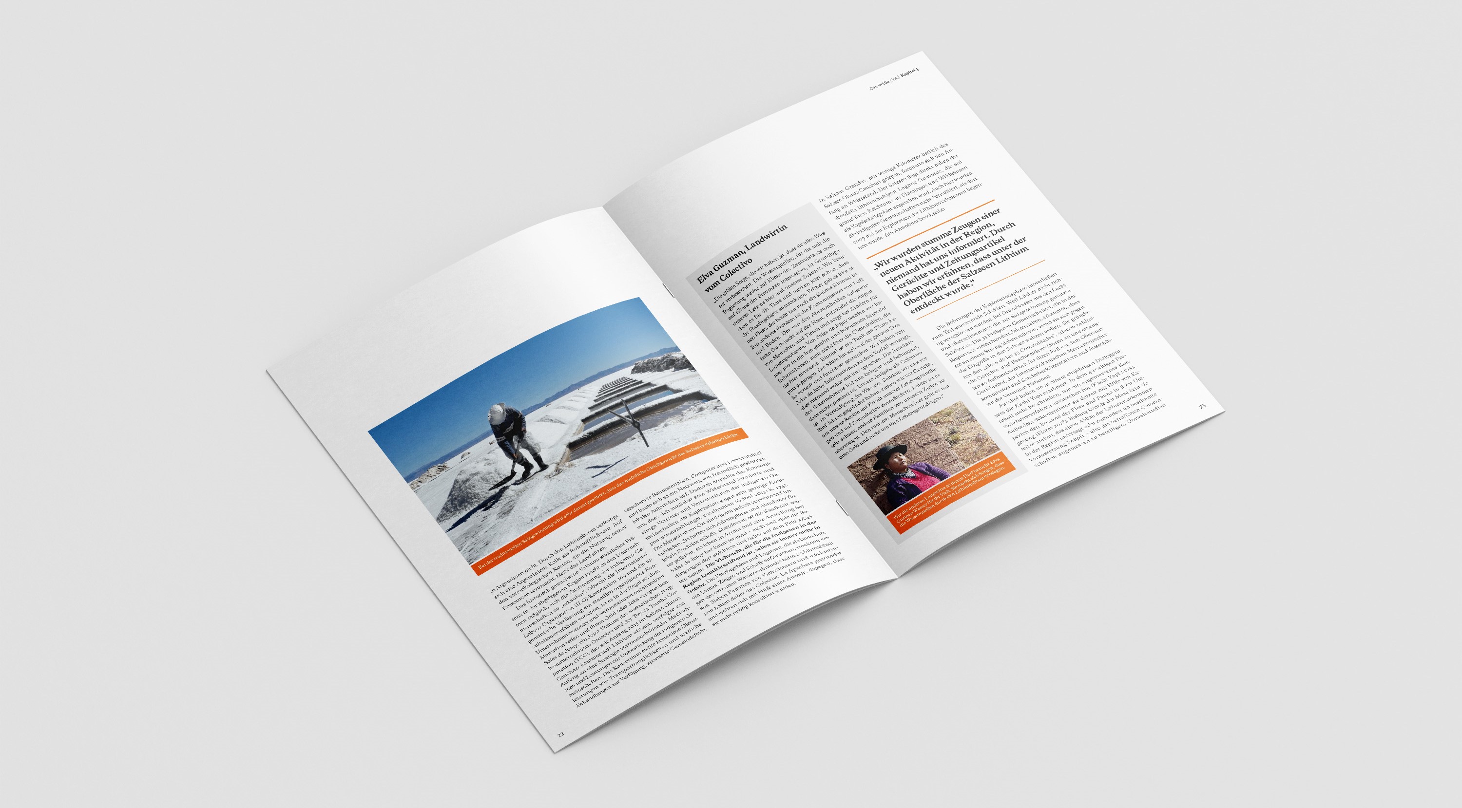 Analyse 84: Das weiße Gold