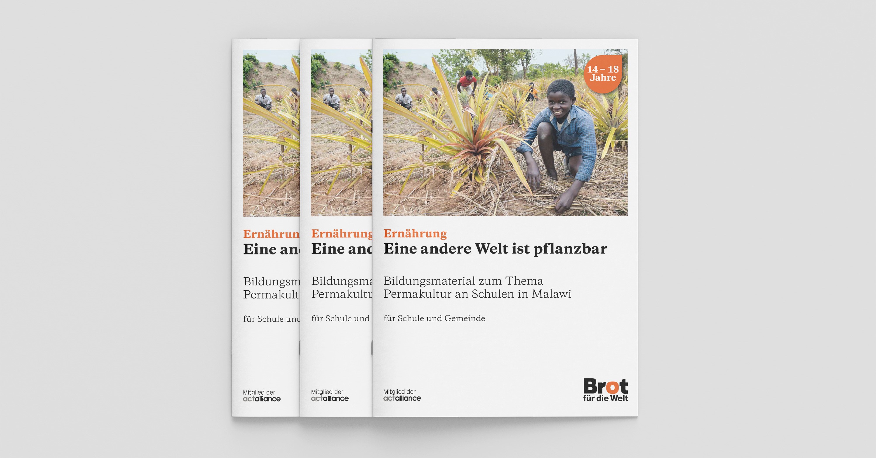 Bildungsmaterial: Malawi zur Weltkarte Ernährung – Eine andere Welt ist pflanzbar