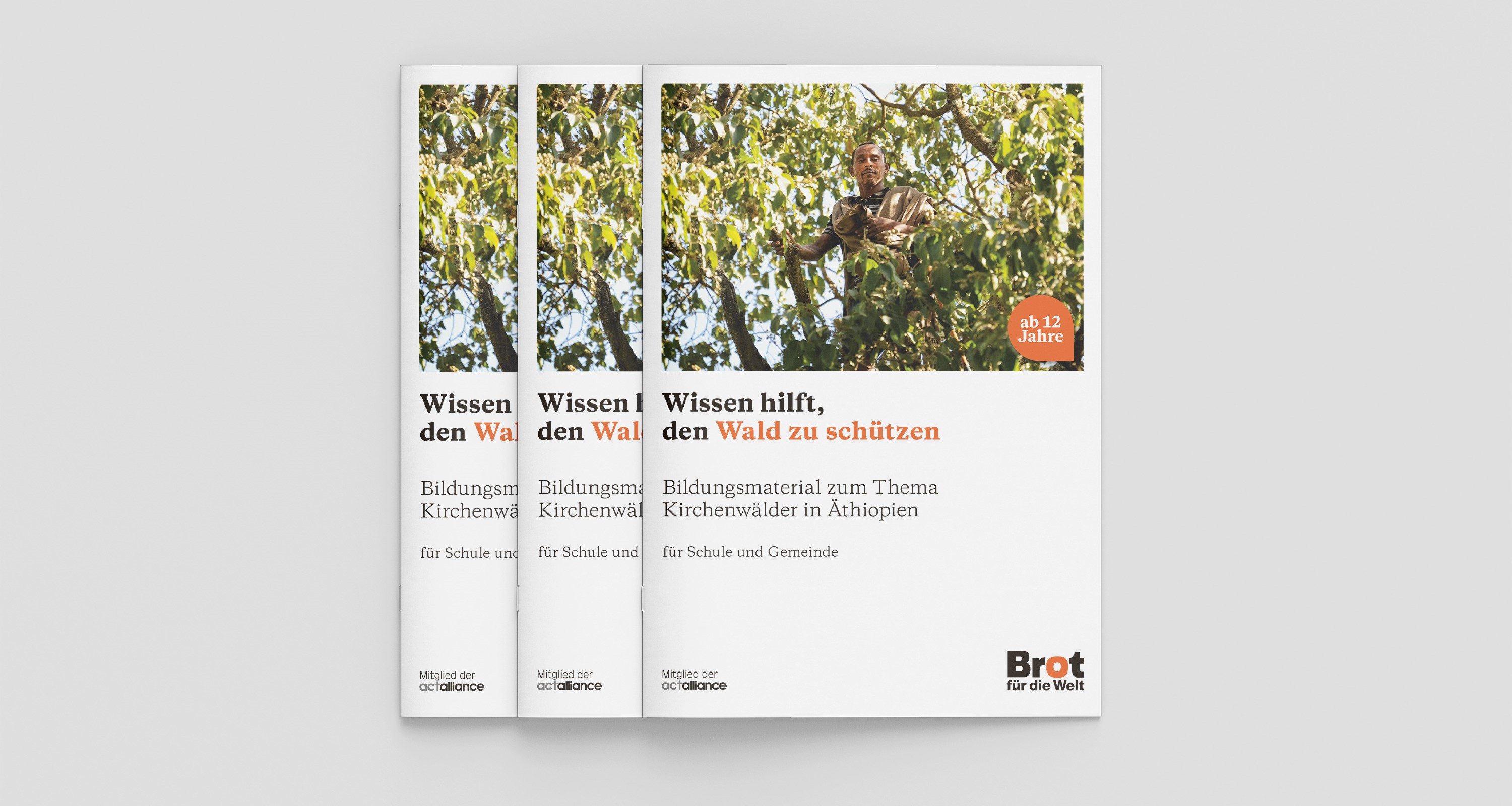 Bildungsmaterial: Äthiopien – Wissen hilft, den Wald zu schützen