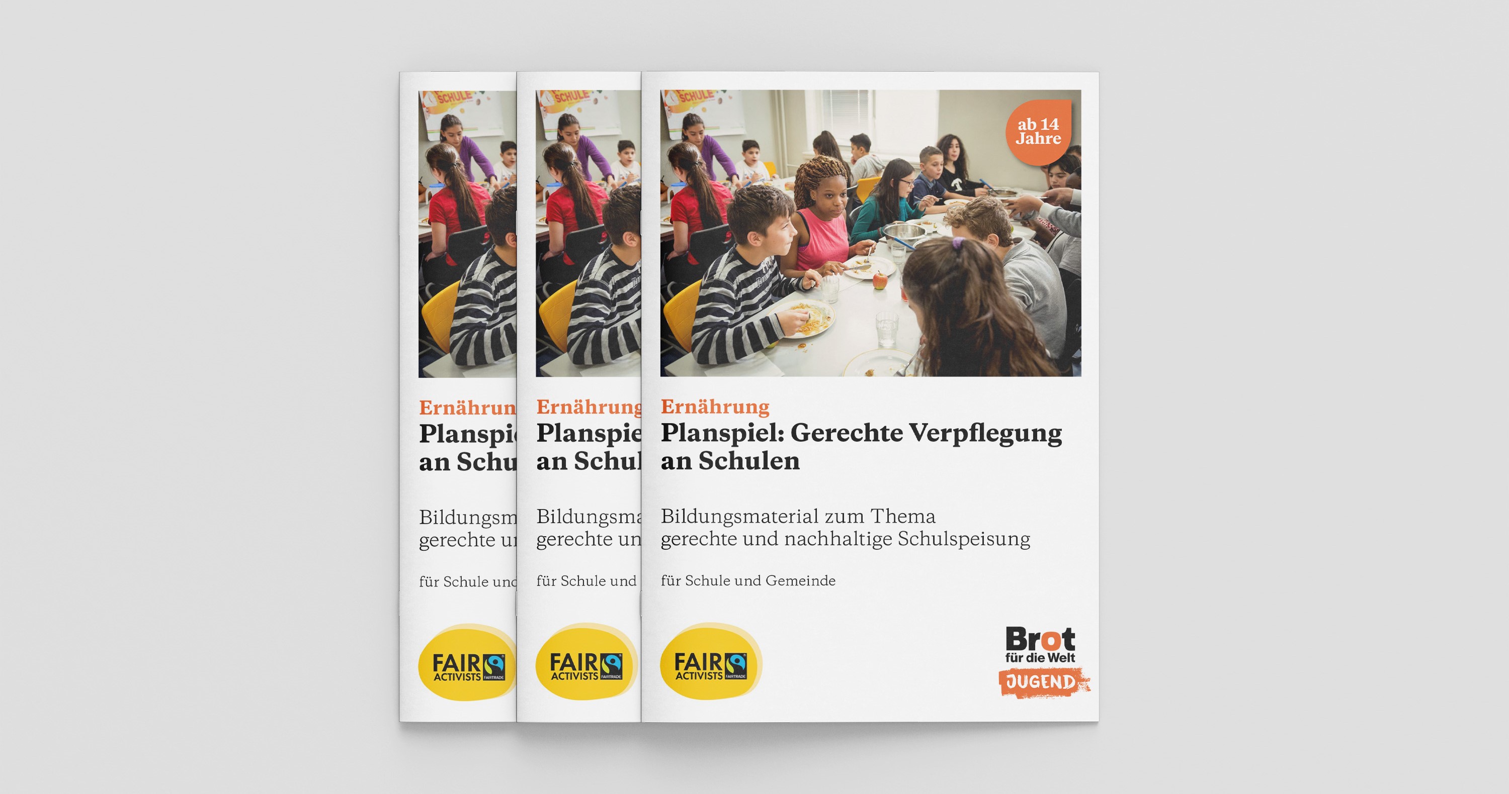 Bildungsmaterial Deutschland zur Weltkarte Ernährung: Gerechte Verpflegung an Schulen